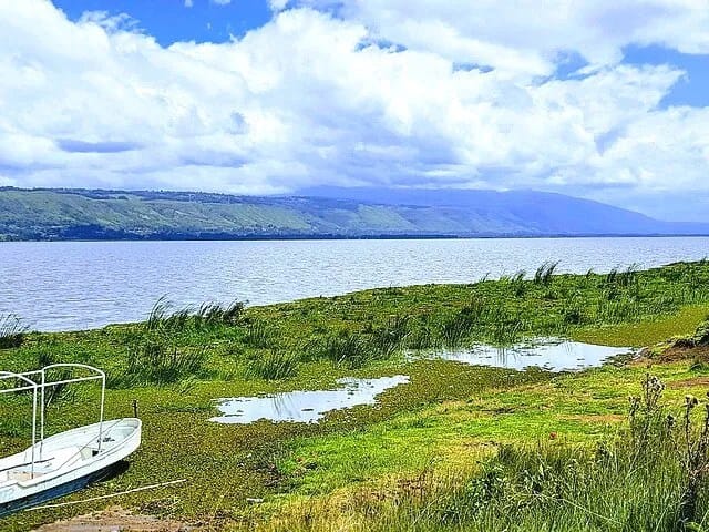 Lake Ol'Bolossat and the surrounding Aberdare highland landscape