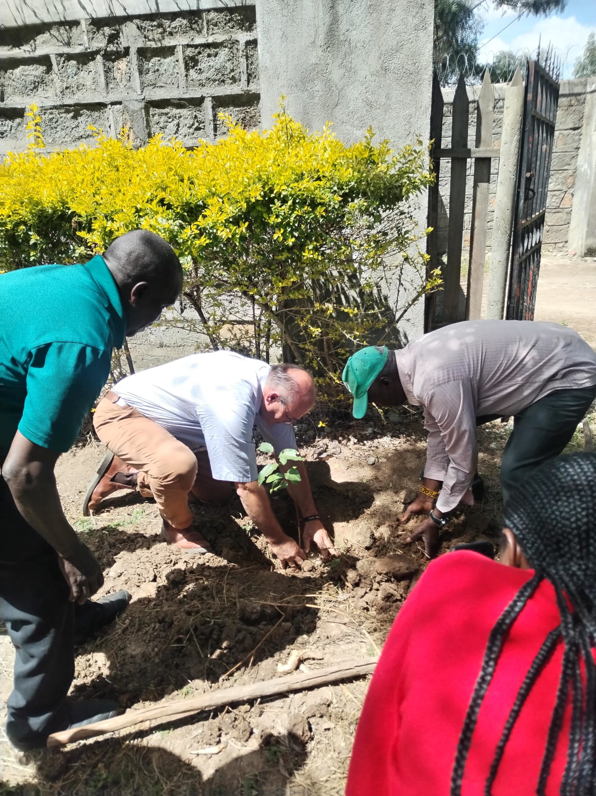 FLOBF field team planting trees during a community restoration event