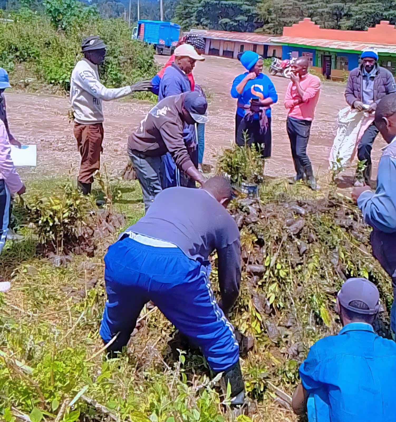 Community members planting together