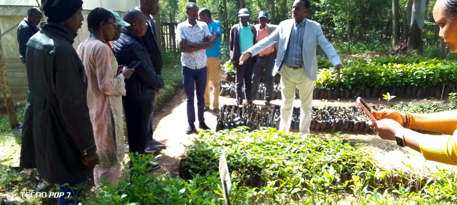 Fruit tree seedlings planted under the Happy Valley project