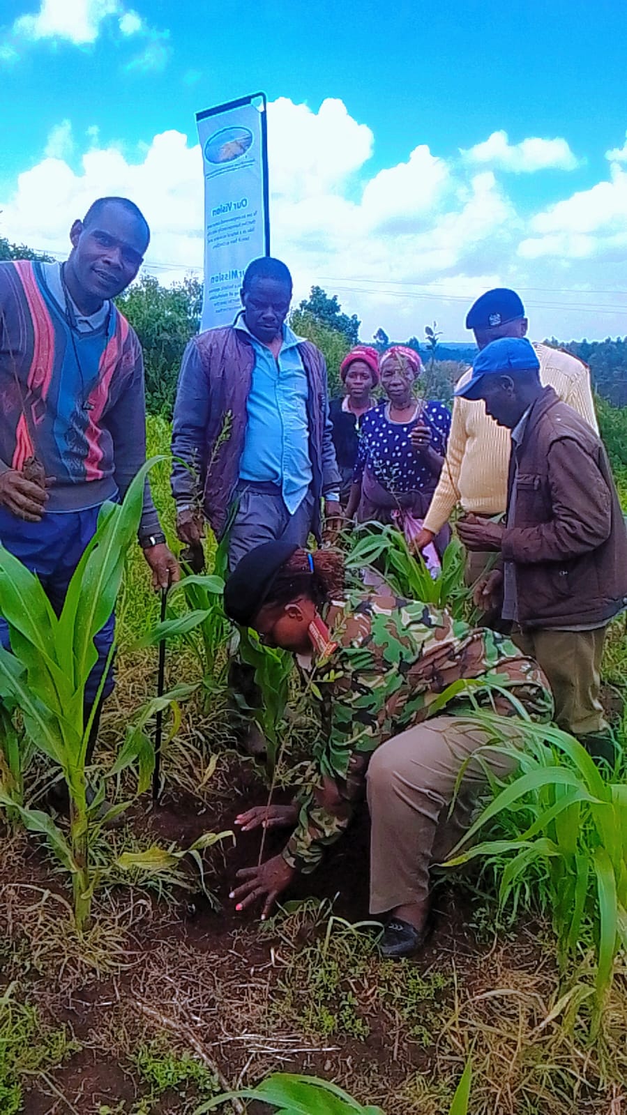 Volunteers at a planting day