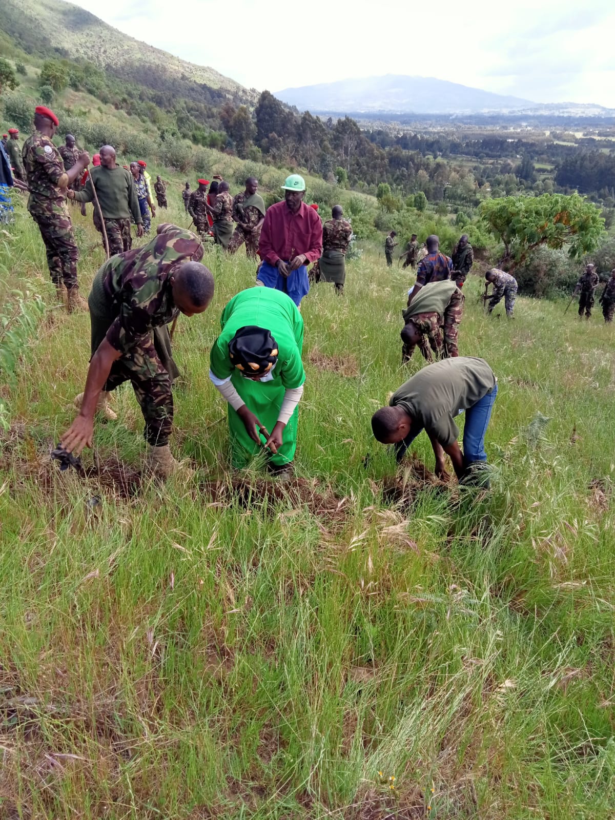 A community planting group on site