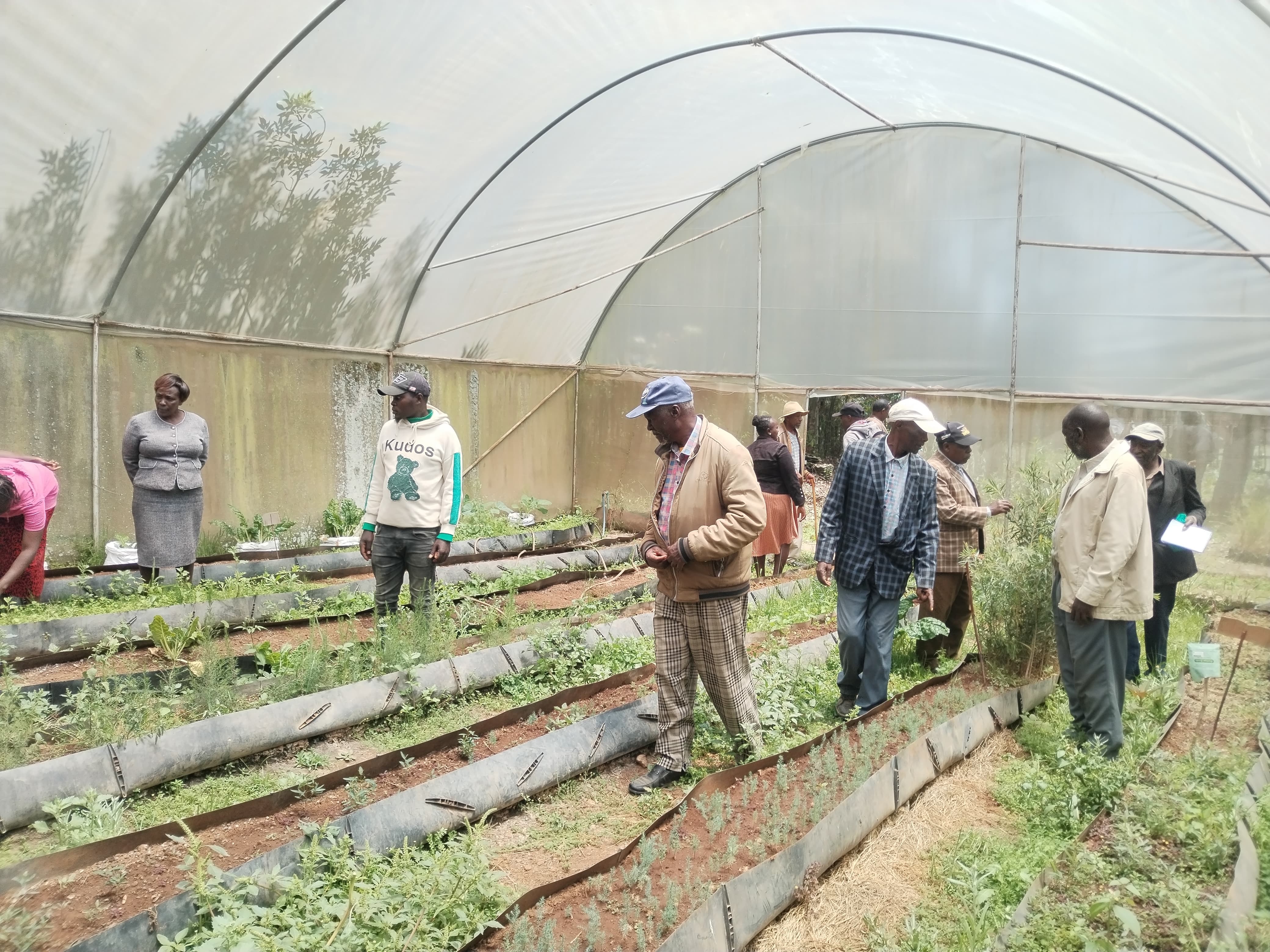 A youth group at a planting day